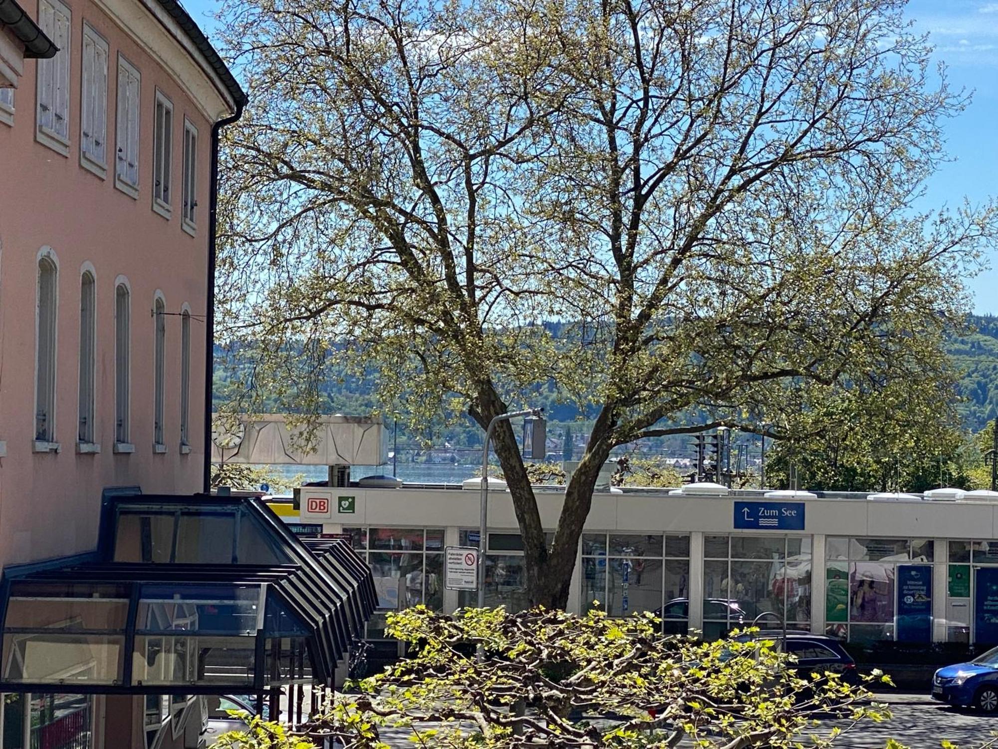 Ferienwohnung Seeromantik In 2 Minuten Am See 博登斯边的拉多夫采尔 外观 照片