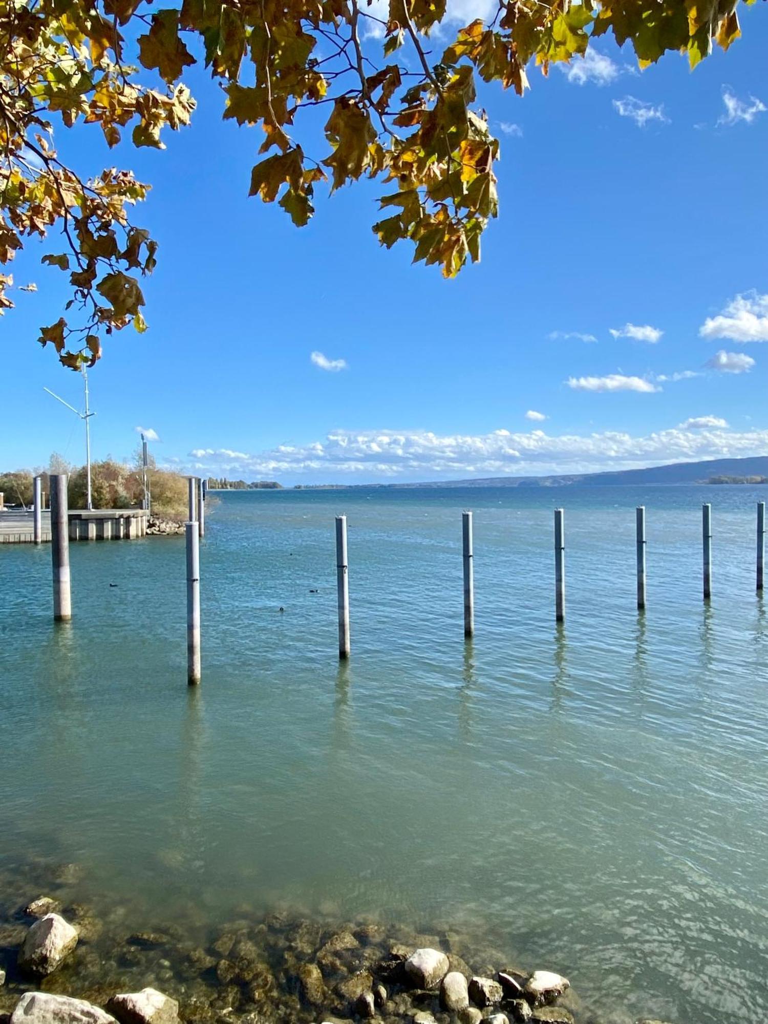 Ferienwohnung Seeromantik In 2 Minuten Am See 博登斯边的拉多夫采尔 外观 照片